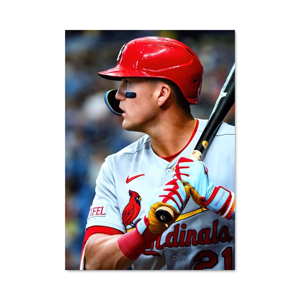 Poster Swing Majestueux